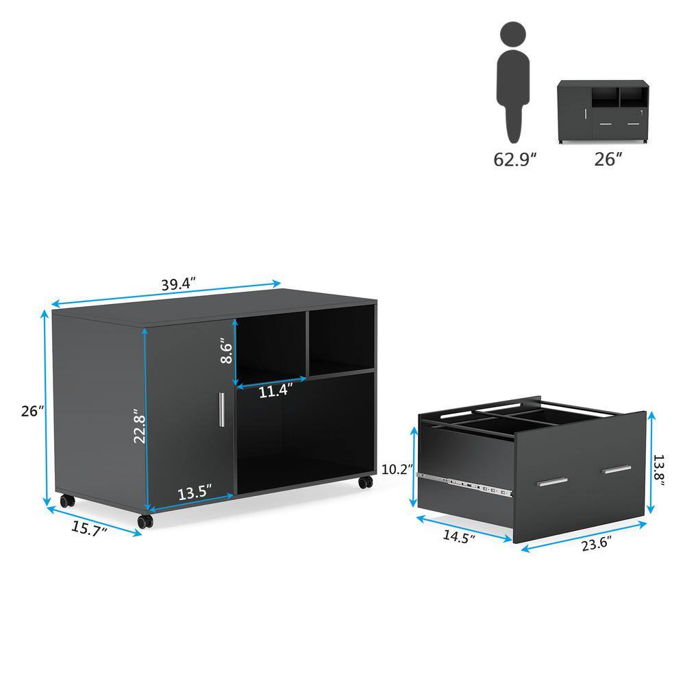 TRIBESIGNS WAY TO ORIGIN Catherine Black File Cabinet with Lock and Drawer HD-C0299