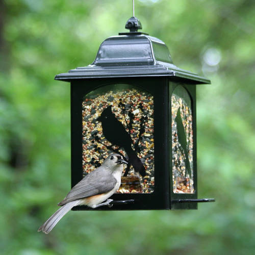 Perky-Pet Birds and Berries Lantern Feeder