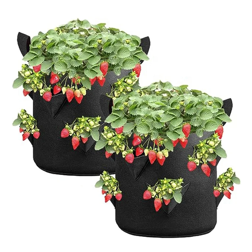 Hyh Wholesale Non woven Fabric Grow Bags Strawberry Plant Grow Bag Of Garden Supplies