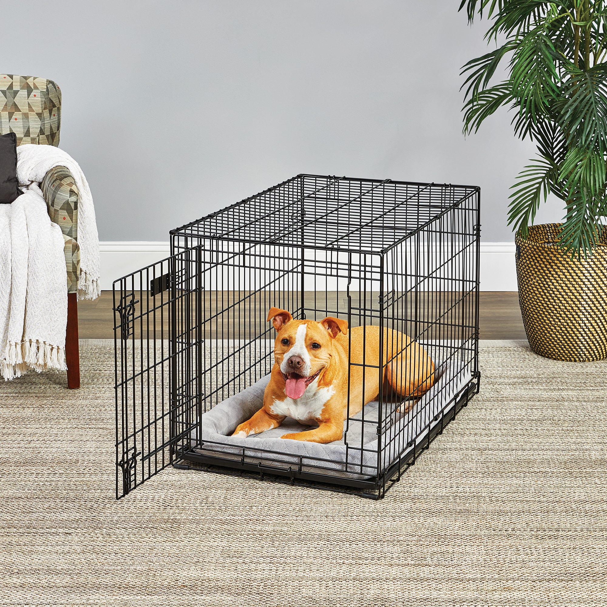 MIDWEST Lifestages Fold amp; Carry Crate for Dogs， 48.5