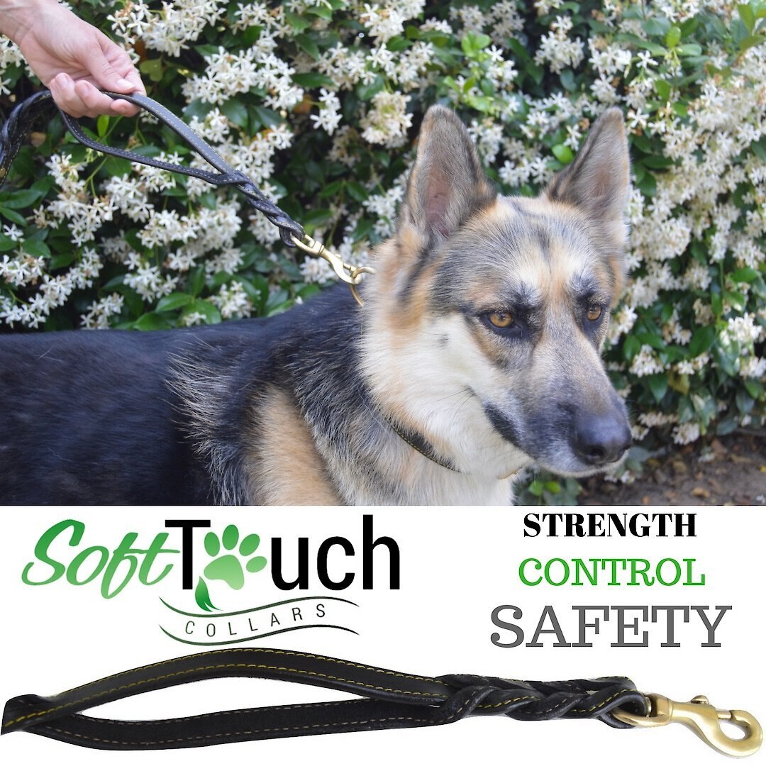 Soft Touch Collars Leather Braided Traffic Handle Dog Leash， 6-ft， 3/4-in