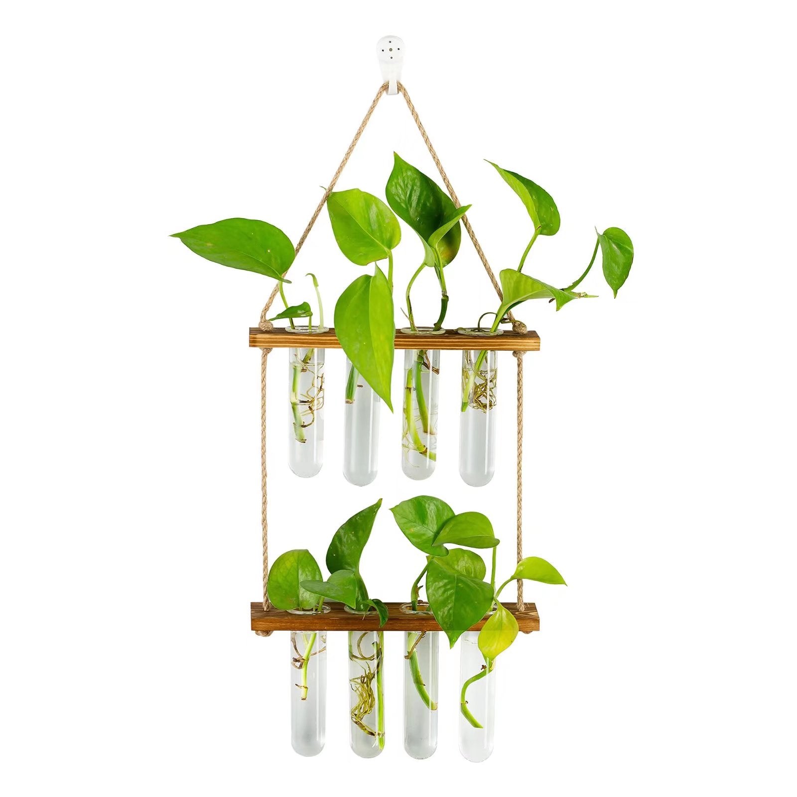 Glasseam Glass Plant Terrarium Hanging Wall Propagation Station Brown