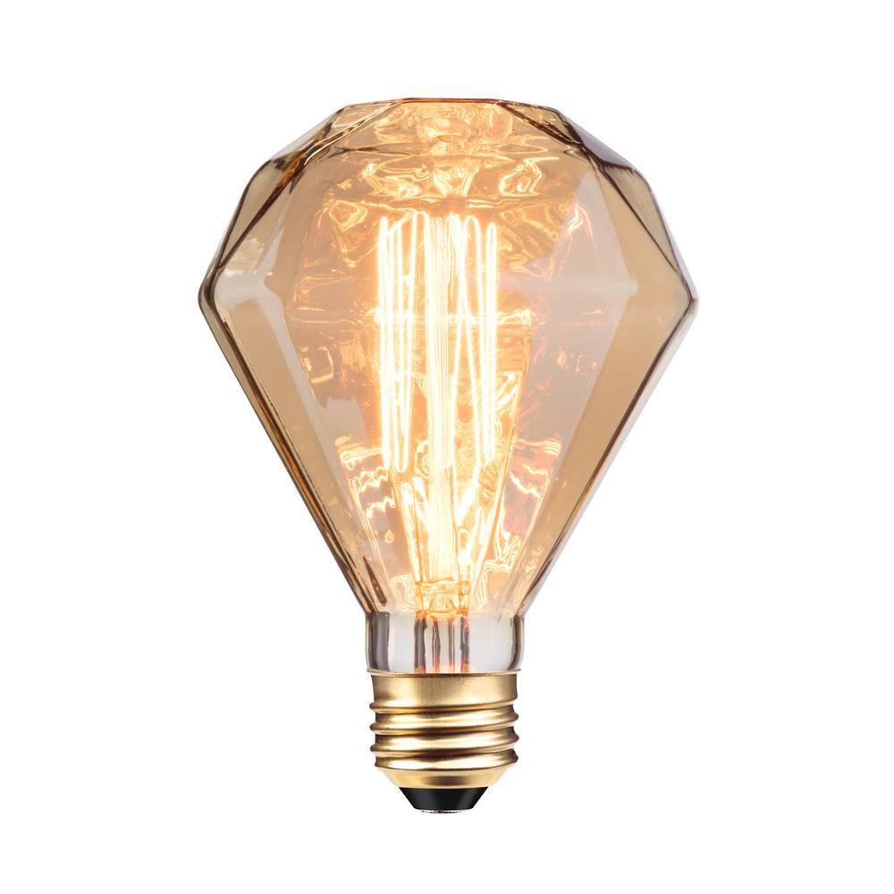 Globe Electric 40 Watt Diamond Shape Dimmable Cage Filament Amber Glass Vintage Edison Incandescent Light Bulb Soft White Light 84644