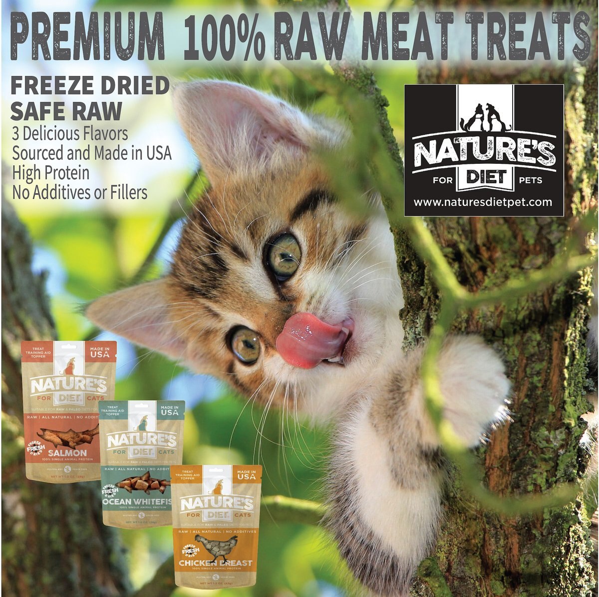 Nature's Diet Salmon Raw Freeze-Dried Cat Treats， 1-oz pouch