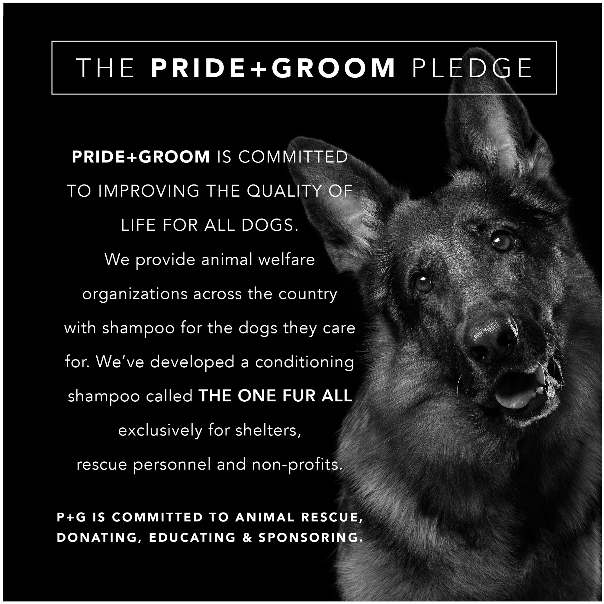 Pride+Groom Microfiber Bath Towel for Dogs， Medium