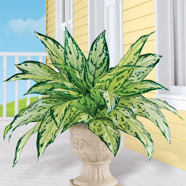 Collections Etc Artificial Dieffenbachia Bush Bundles - Set Of 2 Green