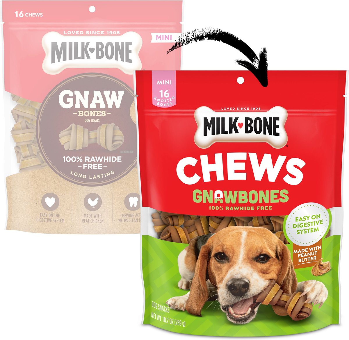 Milk-Bone Gnaw Bones Mini Peanut Butter and Chicken Flavor Dog Treats