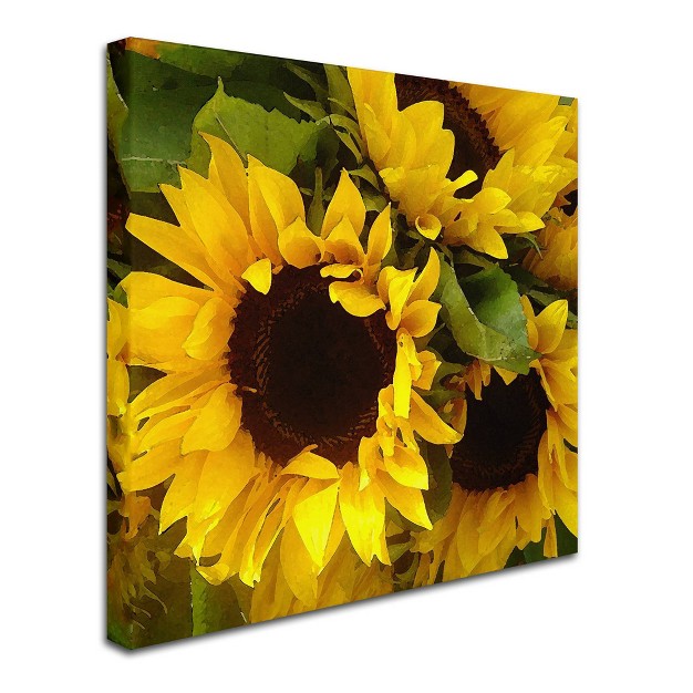 X 24 quot Sunflowers By Amy Vangsgard Trademark Fine Art