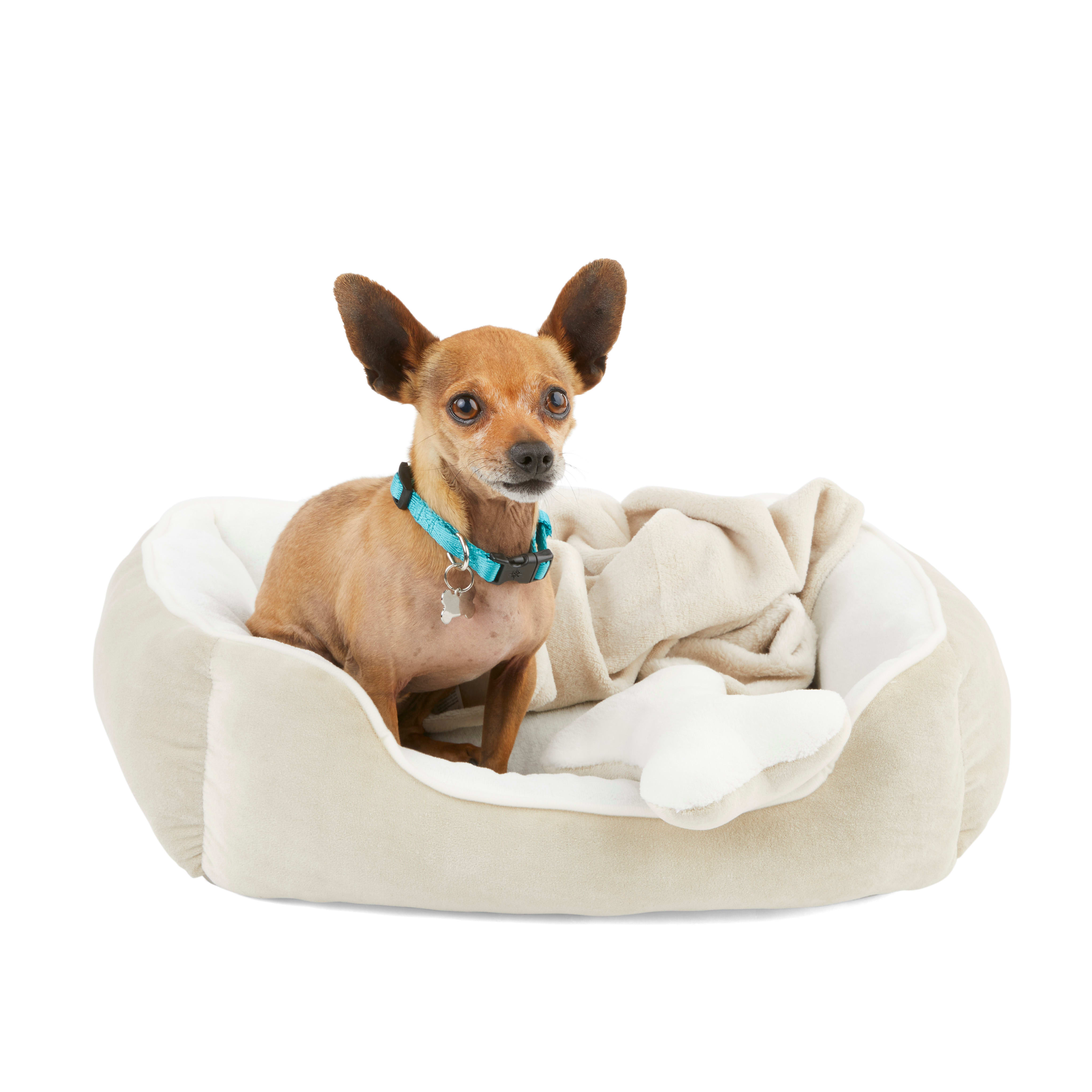 EveryYay Essentials Snooze Fest Dog Bed Bundle， 22