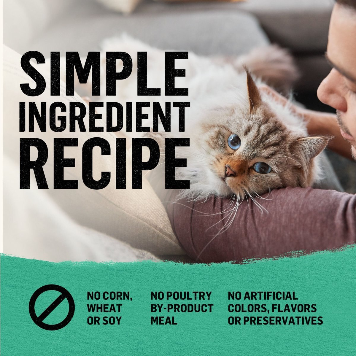 Purina Beyond Grain-Free Natural Simply Wild Caught Whitefish and Cage Free Egg Recipe Dry Cat Food