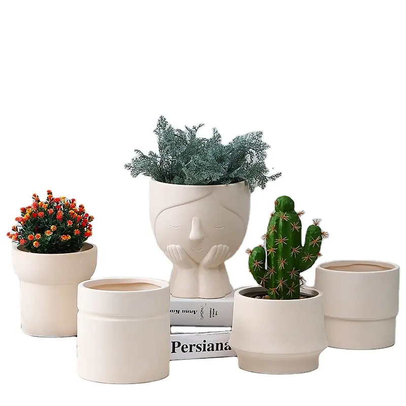 Home Decoration items Garden Supplies Indoor Outdoor Succulent Green Plant Pots Matte Plain Color  Planter Ceramic Flower Pots