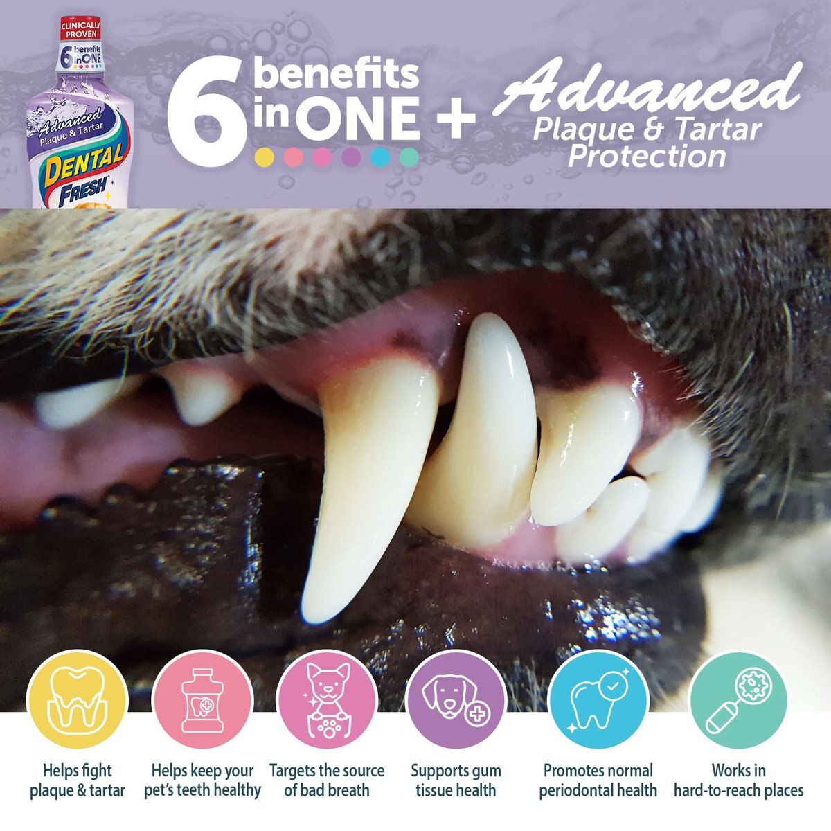 Dental Fresh Advanced Plaque and Tartar Dog and Cat Dental Water Additive