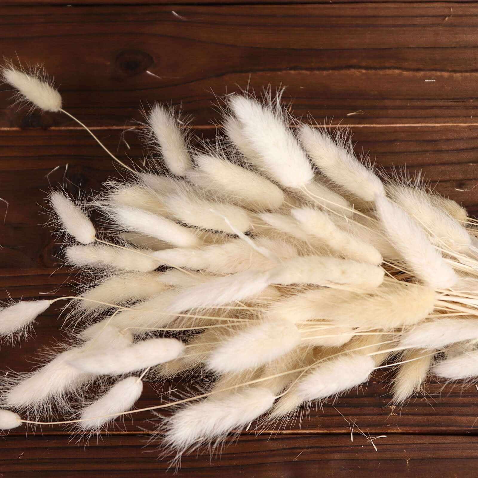 50 Pack Natural White Rabbit Tail Dried Pampas Grass Flower Bouquets, Boho Stem Arrangements 15