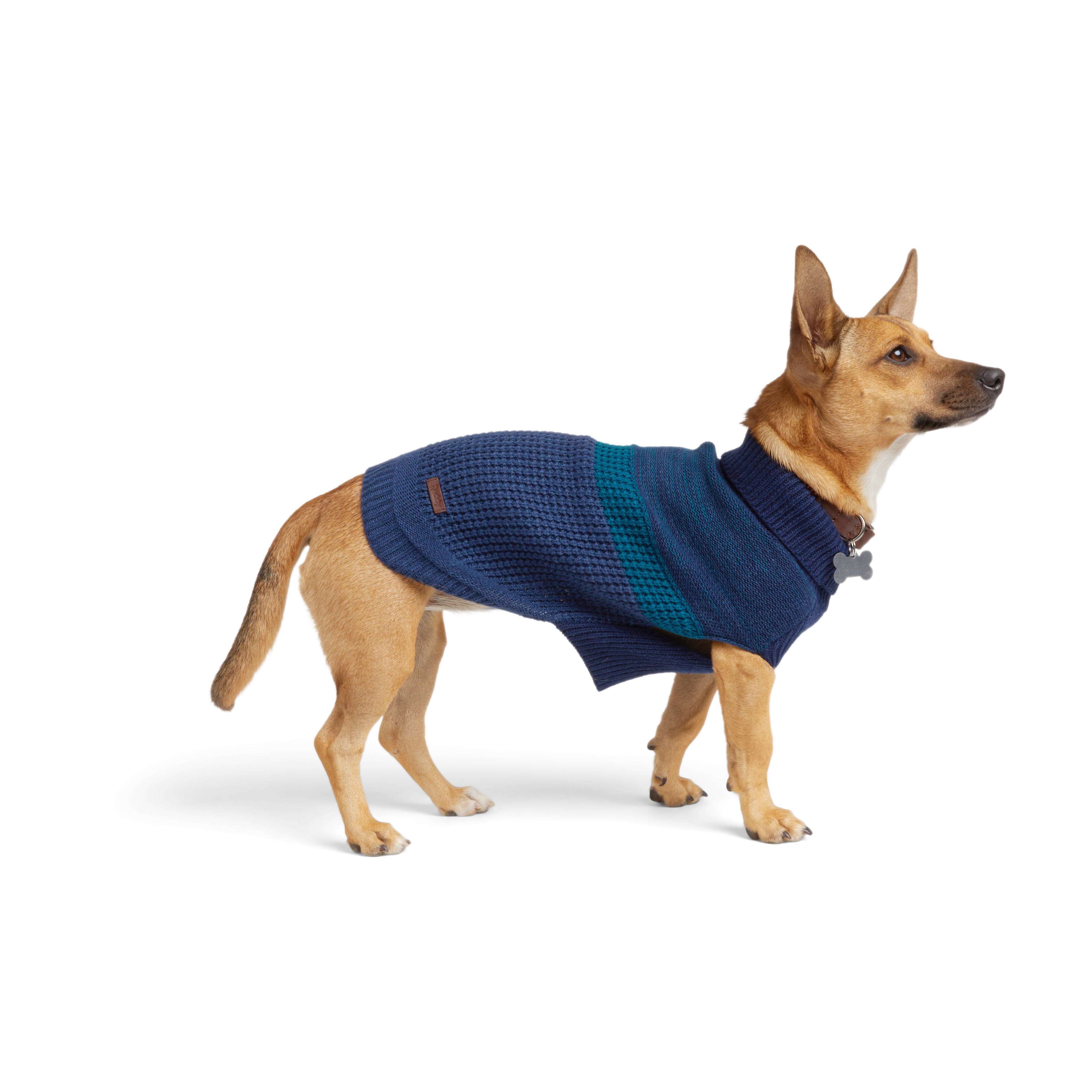 Reddy Navy/Blue Colorblock Dog Sweater， X-Small