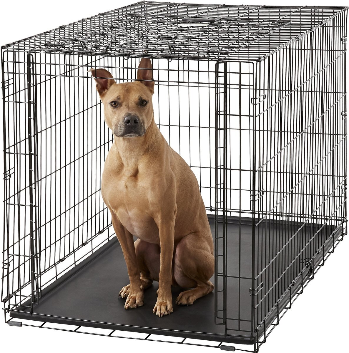 MidWest Ovation Single Door Collapsible Wire Dog Crate