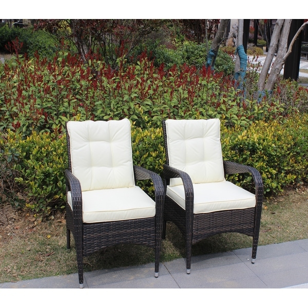 Outdoor Patio Furniture Set Conversation Set 2Piece Resin Wicker Dining Sofa Chair Set for Patio，Backyard，Garden，Meadow