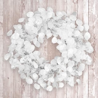 24 in. Unlit Winter Frost White Artificial Christmas Wreath