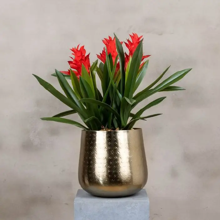 Best Design Long Standing Decorative Pots for Garden Metal Planter Home Indoor Garden Usage Metal Planter