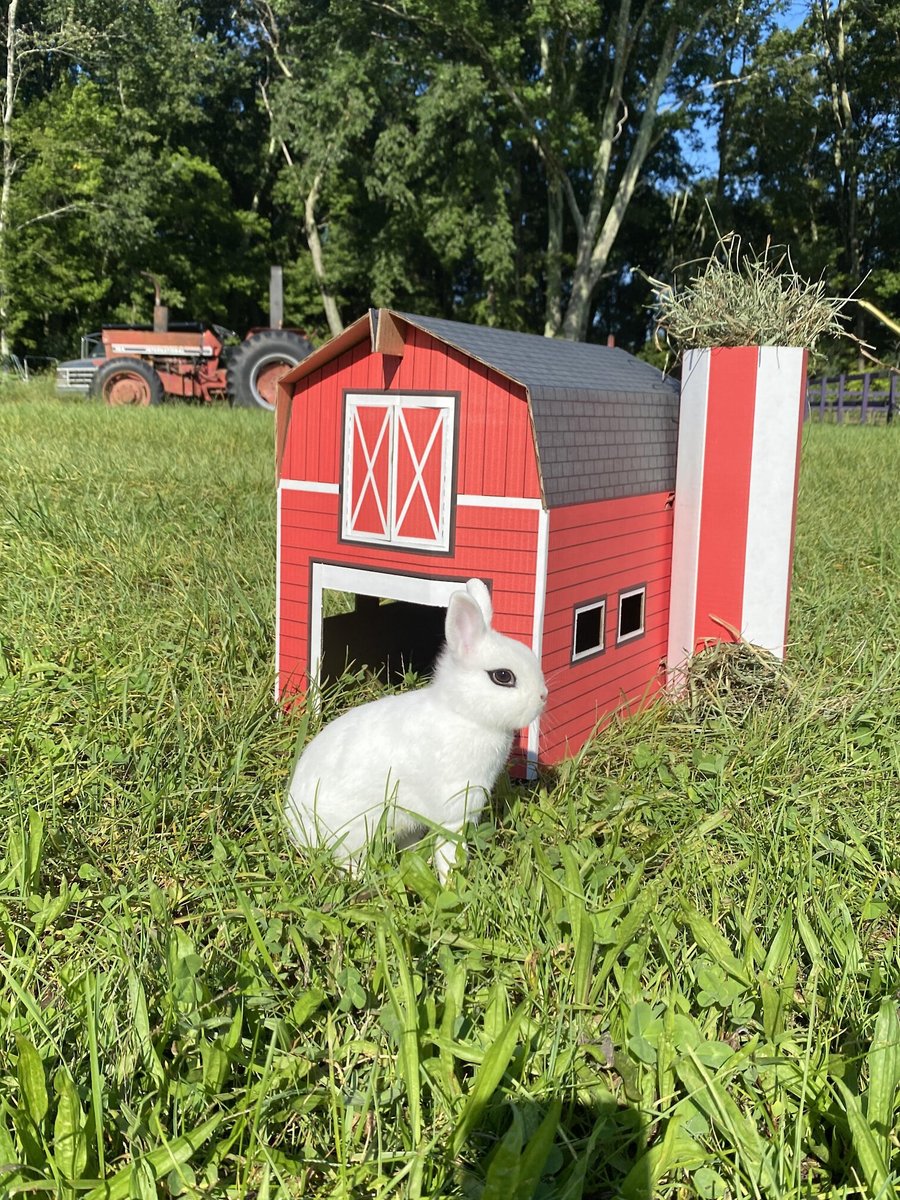 Sweet Meadow Farm Buddy Barn Small Pet Hideout