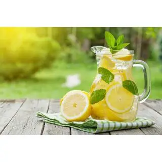 BELL NURSERY 1 Gal. Improved Meyer Lemon Tree Live Tropical Tree with White Flower to Yellow Fruit (1-Pack) LEMON1MEY1PK
