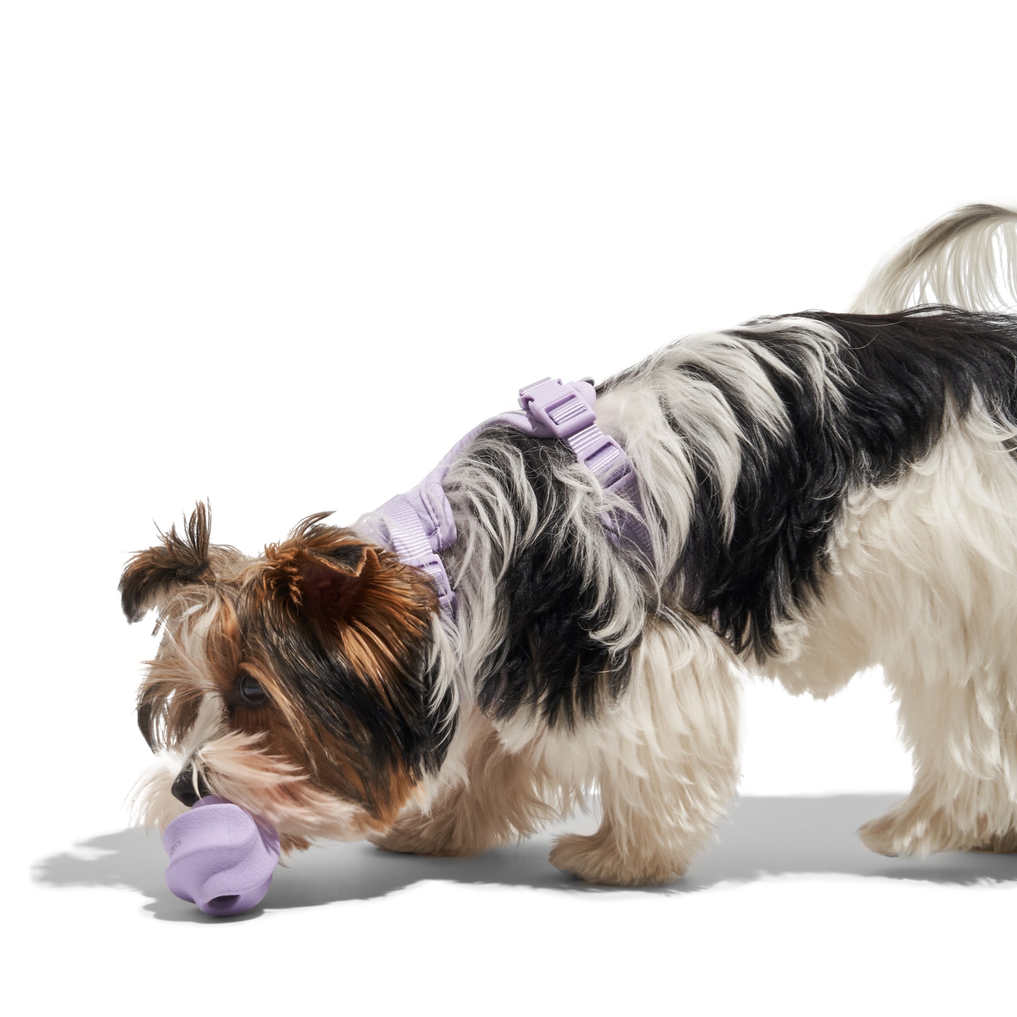 Wild One Lilac Twist Toss Dog Toy， Small