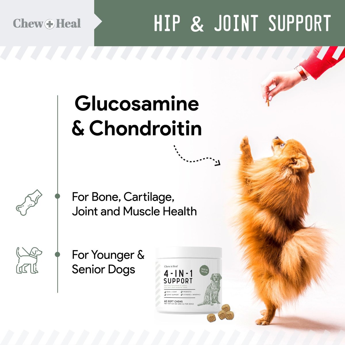 Chew + Heal 4-IN-1 Support Chews Dog Vitamin Supplement and Chew + Heal Omega Skin + Coat Chews Dog Vitamin Supplement， 120 count