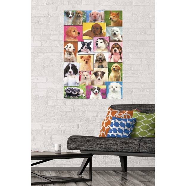 Trends International Keith Kimberlin Puppies Grid Unframed Wall Poster Prints