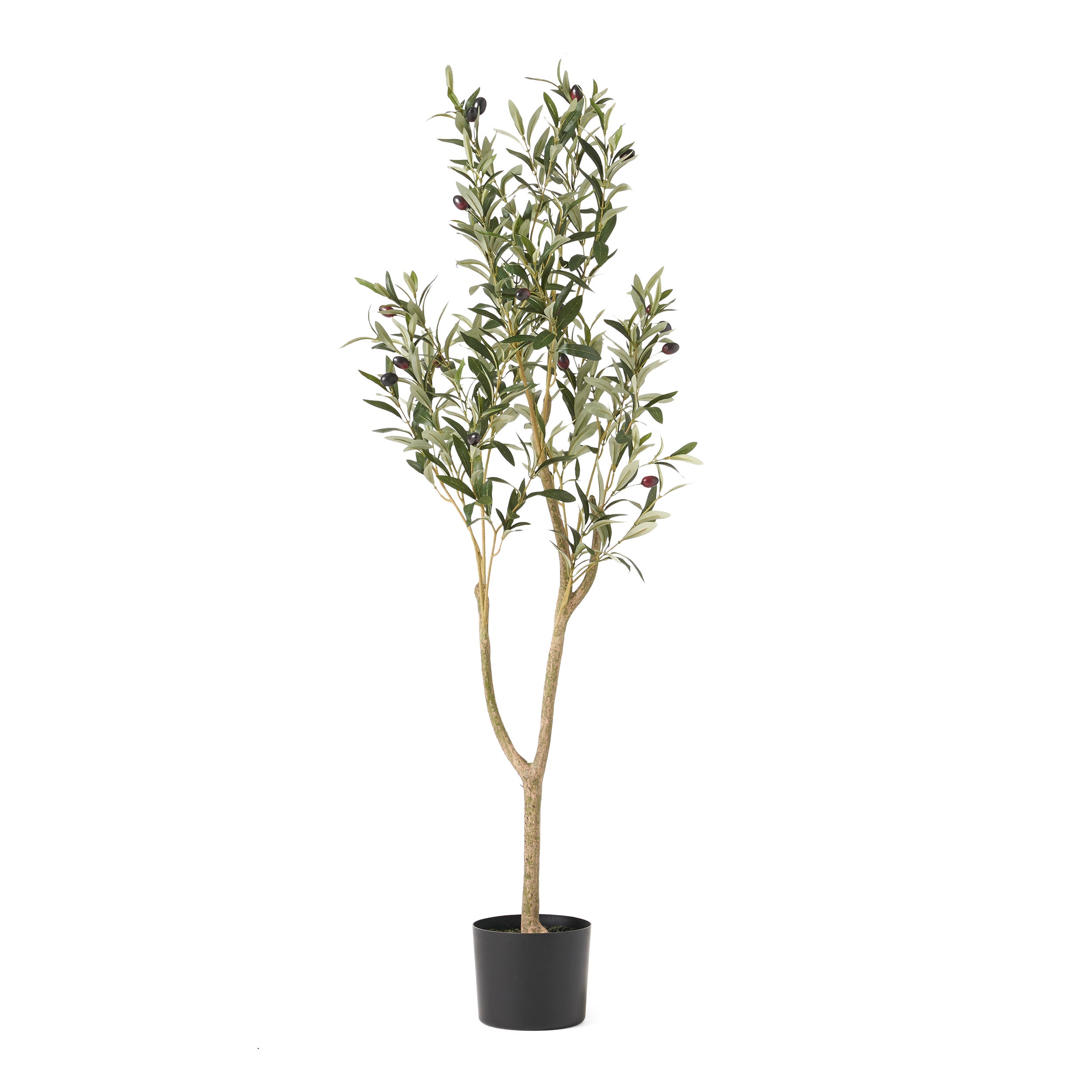 Atoka Artificial Olive Tree