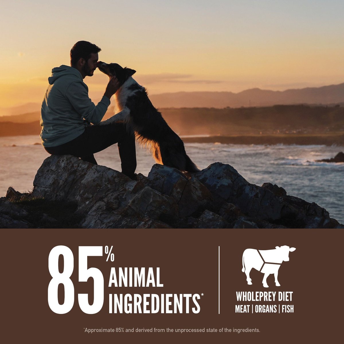 ORIJEN Regional Red Grain-Free Dry Dog Food