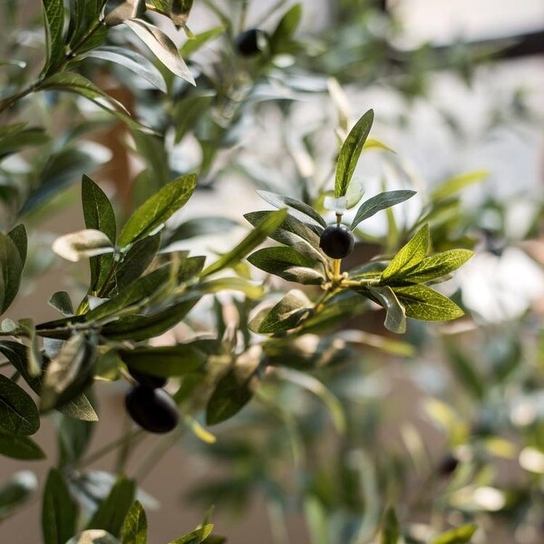 RusticReach Artificial Olive Tree