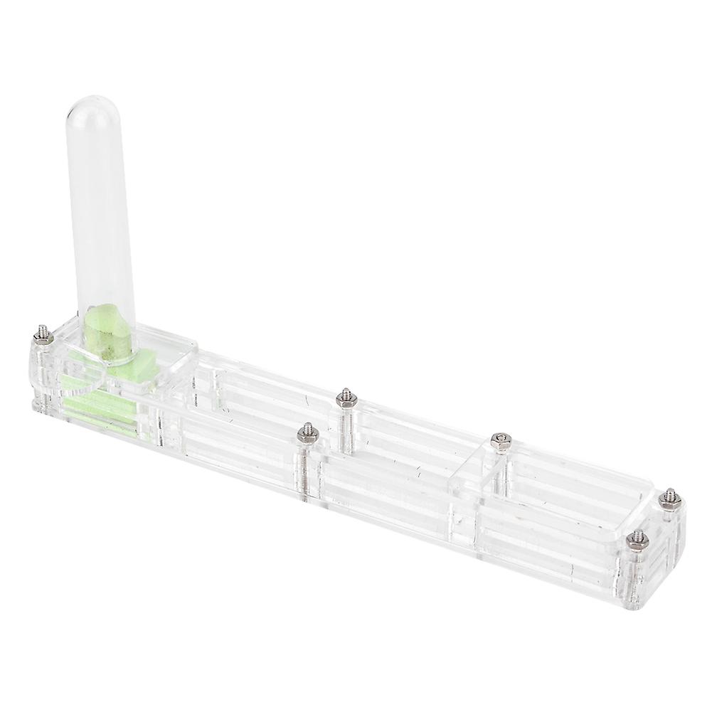 Acrylic Ant Breeding House Nest Formicarium Display Box With Water Tower Moisturizingtransparent