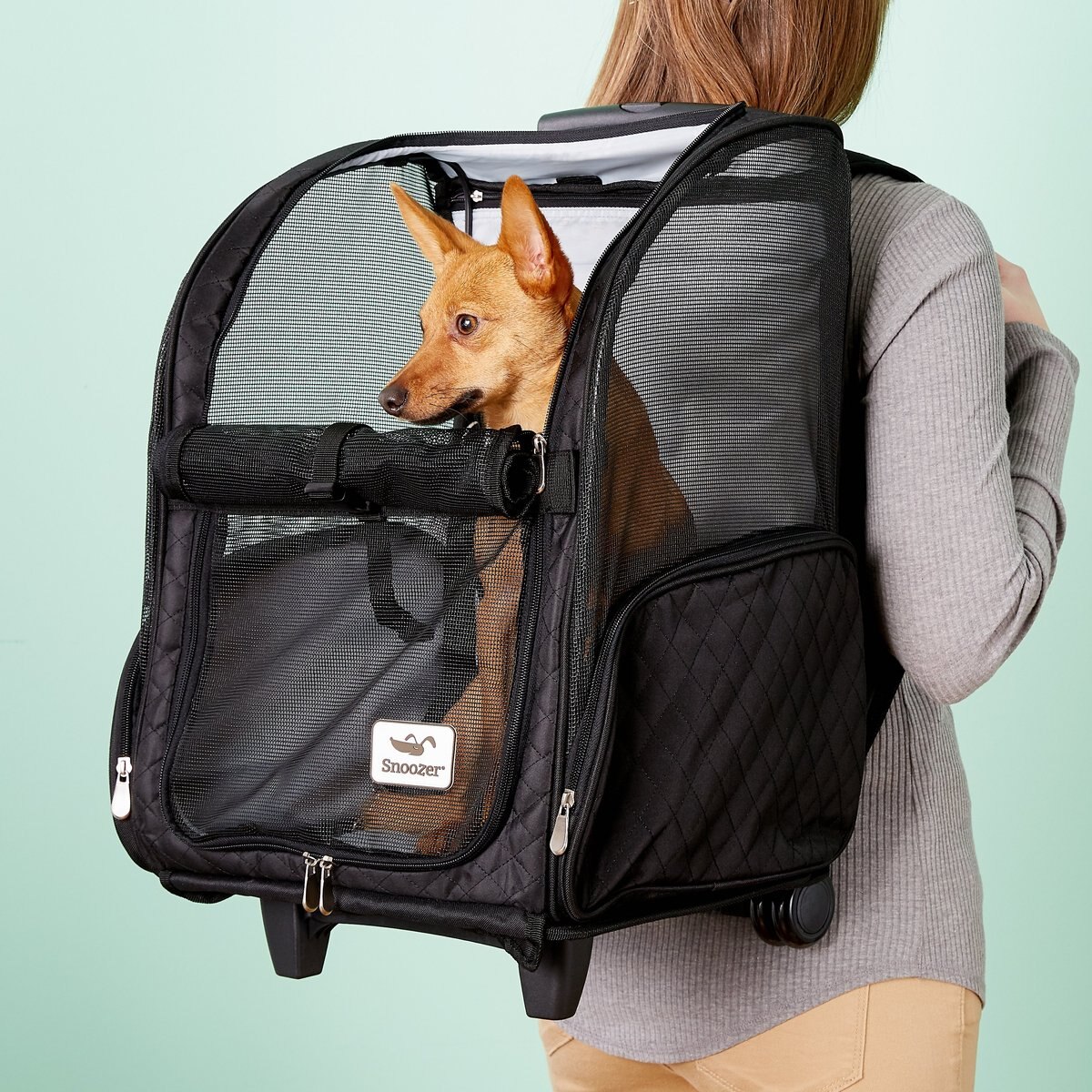 Snoozer Pet Products Roll Around 4-in-1 Travel Dog and Cat Carrier Backpack