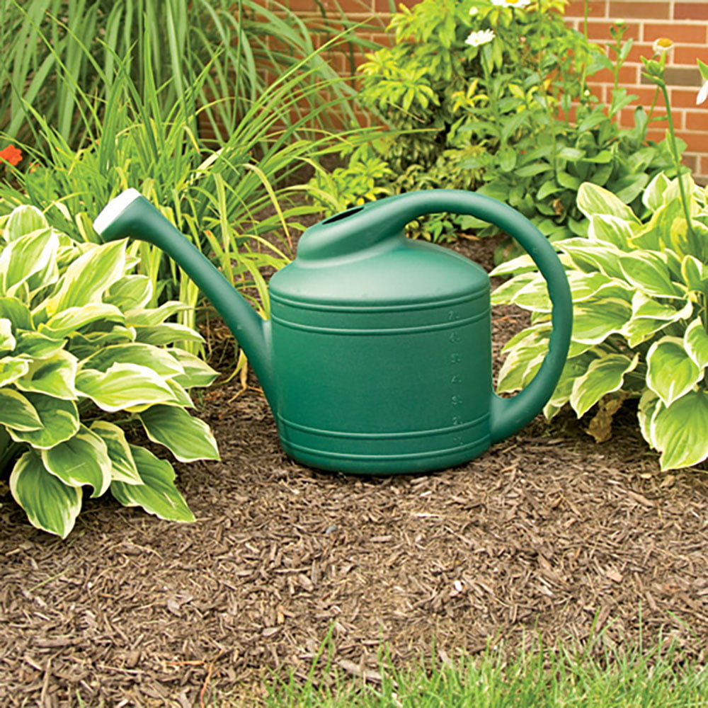 Southern Patio Large 2 Gallon Plastic Rainfall Garden Plant Watering Can， Green