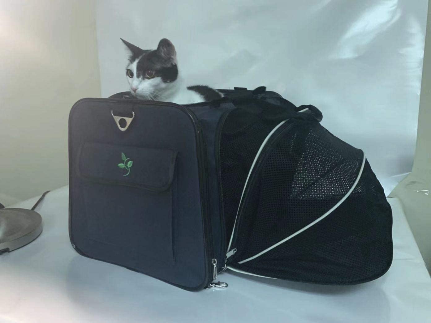 Portable pet Carrier Folding Soft Pet Travel Bag Airline Approved Pet Bag for Small Medium Cats Dog Puppies