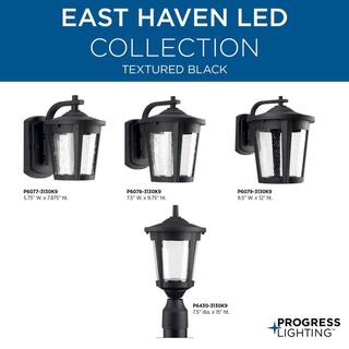 Progress Lighting East Haven LED Collection 1-Light Textured Black Clear Seeded Glass Transitional Outdoor Large Wall Lantern Light P6079-3130K9