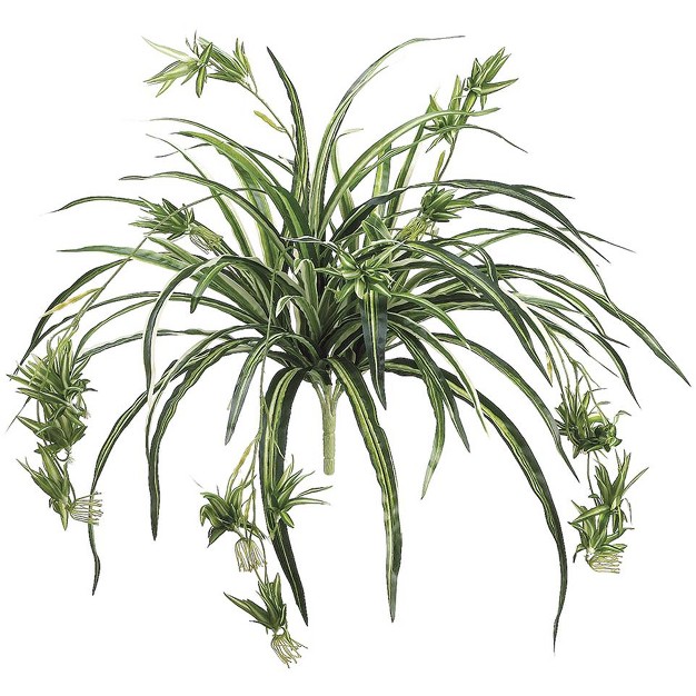 Green And White Artificial Spider Plant