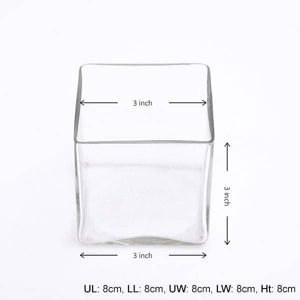 3 Inch (8 cm) Square Glass Vase