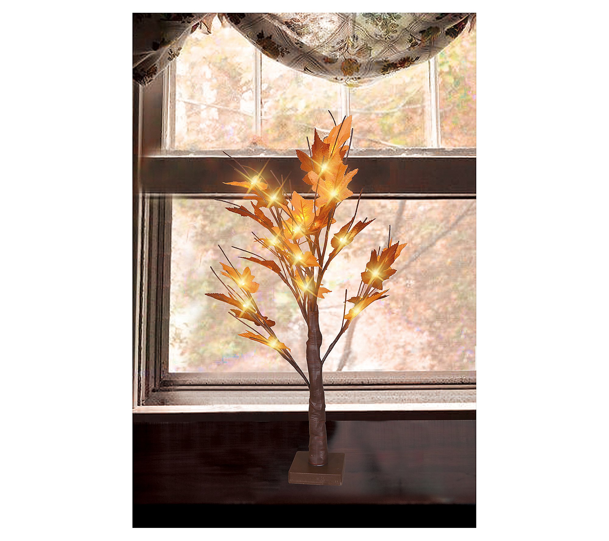 Northlight 2' Pre-Lit LED Brown Maple Tree- Cle ar Ligh