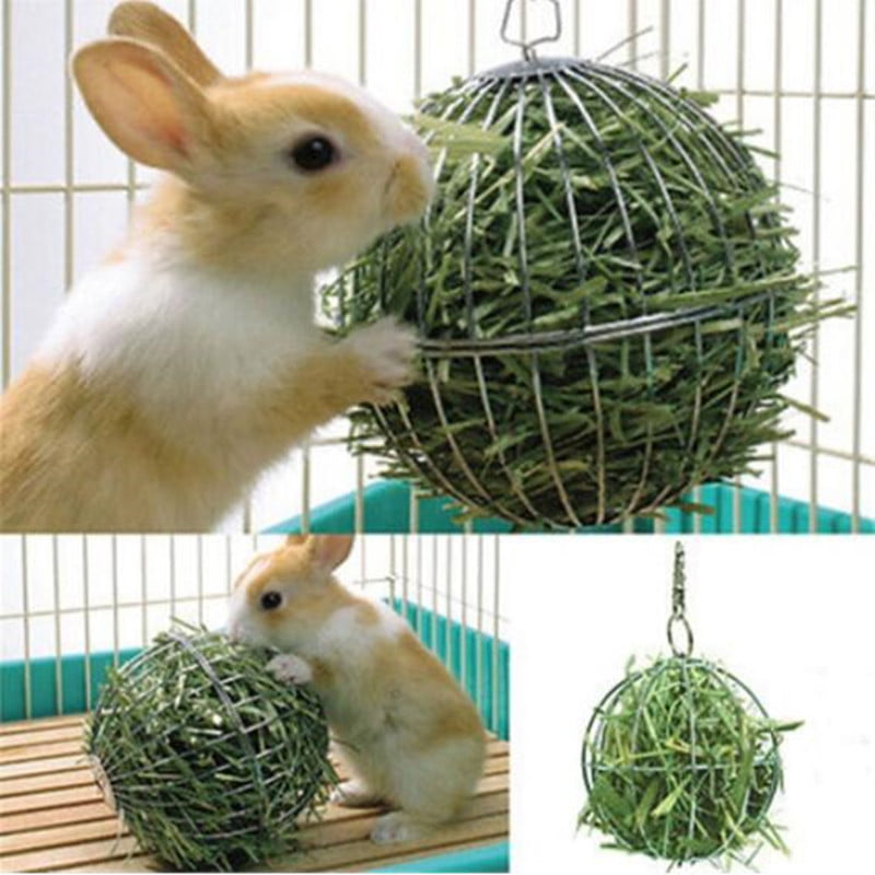 Puloru Sphere Feed Dispense Exercise Hanging Guinea Pig Pet Toy