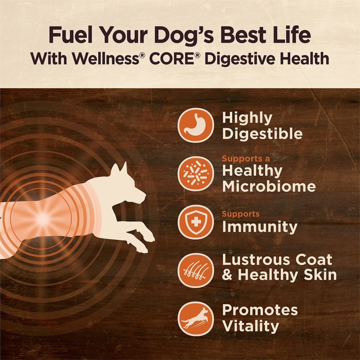 Wellness CORE Digestive Health Wholesome Grains Whitefish and Brown Rice Recipe Dry Dog Food