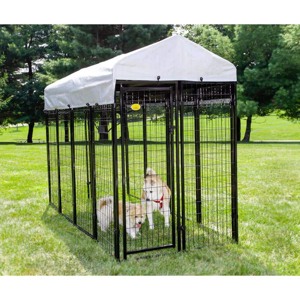 KennelMaster 4 ft. x 8 ft. x 6 ft. Welded Wire Dog Fence Kennel Kit DK648WC