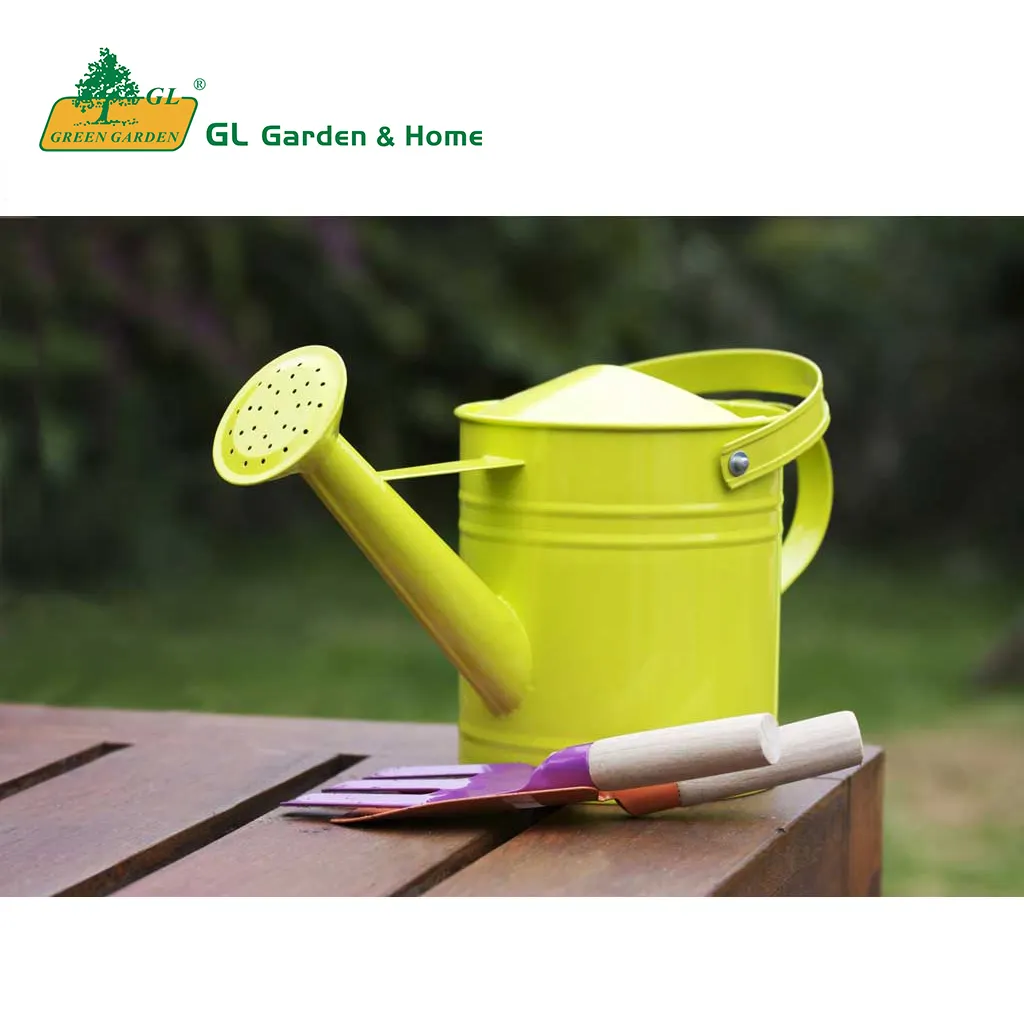 Custom Wholesale Metal Galvanized/ Painted Watering Can (any color is available)