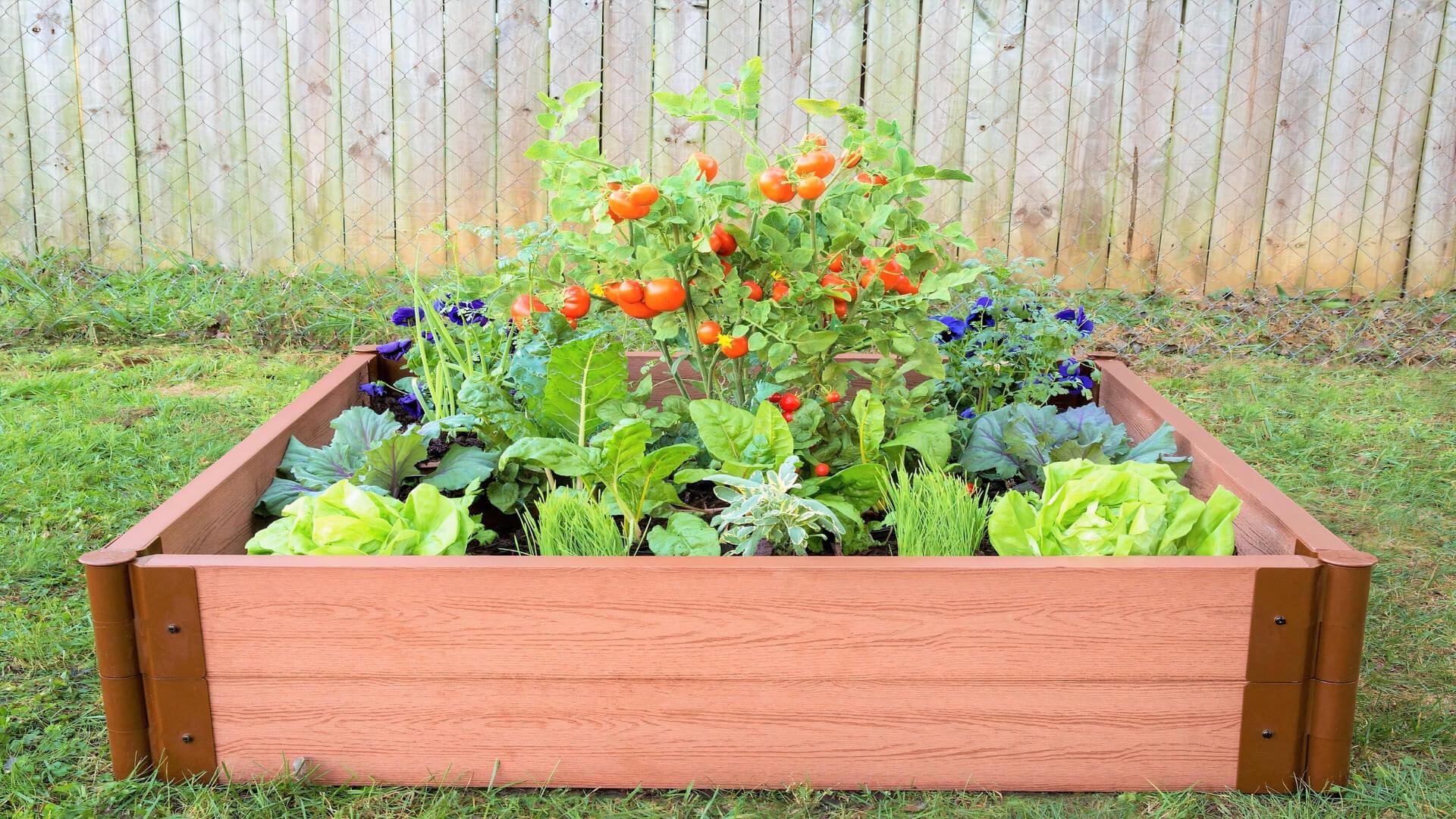 4' x 4' Raised Garden Bed