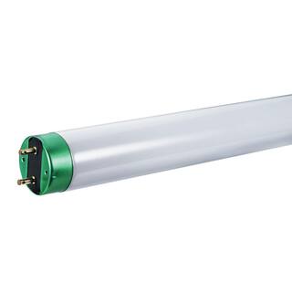 Philips 30-Watt 3 ft. Linear T8 Fluorescent Tube Light Bulb Bright White (3000K) (1-Pack) 543355