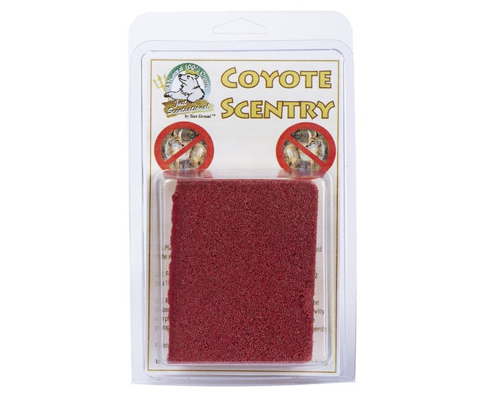 Just Scentsational Coyote Scentry - COY-1