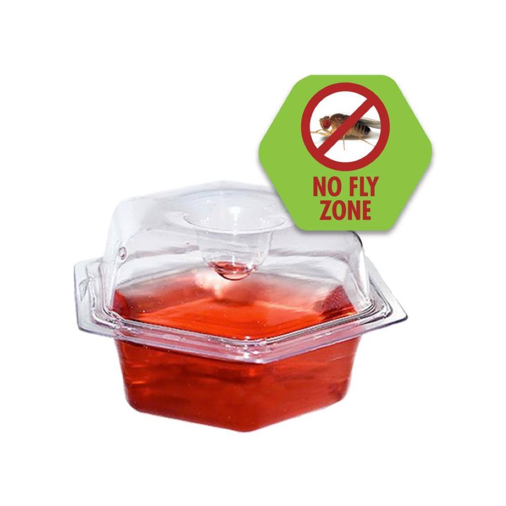 BEAPCO Drop-Ins Fruit Fly Traps (6-Pack) 10036