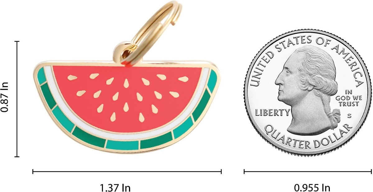 Two Tails Pet Company Personalized Watermelon Dog and Cat ID Tag