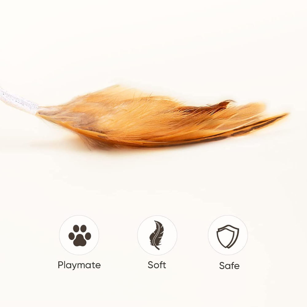 Interactive Cat Toy ， Cat Toys for Indoor Cats Cat Feather Toys Automatic Cat Toy Cat Mouse Toy with Feather Tail Kitty Toys with USB Charging，Catnip Toy， Catnip Toys for Cats， Catnip， Cat Toys