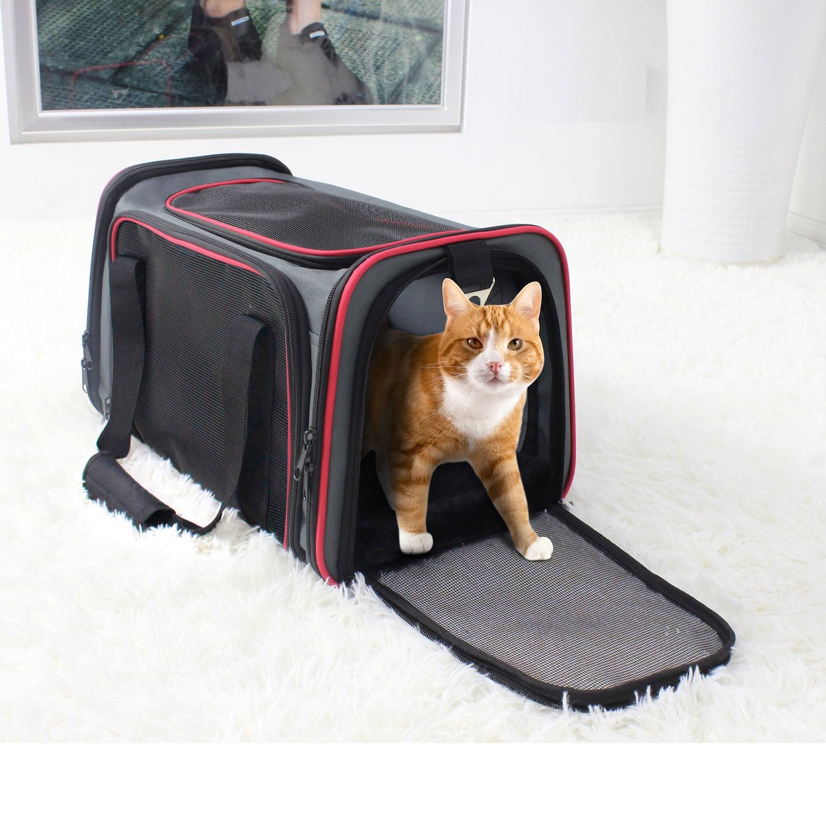 Jespet Soft-Sided Airline-Approved Travel Dog and Cat Carrier