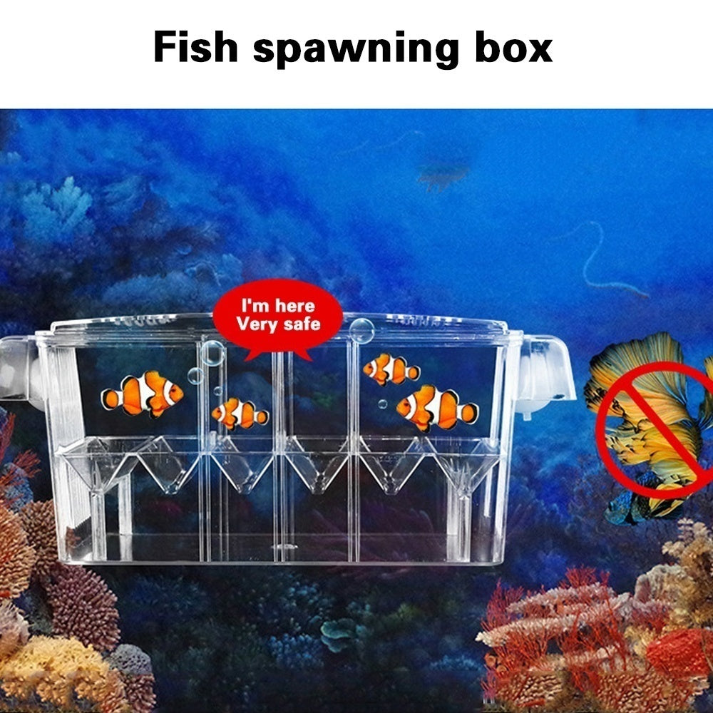 Willstar Fish Breeding Box， 4 Rooms Acrylic Fish Isolation Box with Suction Cups， Aquarium Acclimation Hatchery Incubator for Baby Fishes Shrimp Clownfish and Guppy